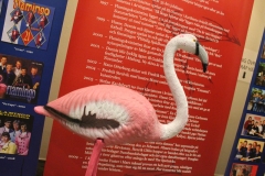 flamingoshowk1817