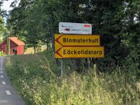 excesslogen2501
