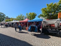 fastingen2533