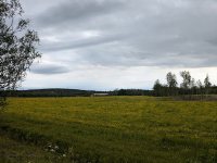 fototurmaj2501