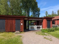 jiveupperud504
