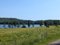 jiveupperud506