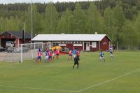 lesjoforsborta508