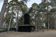 mbskogen16