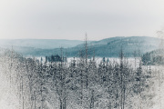 foton-natur065