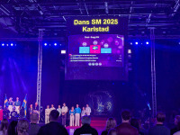 danssm28