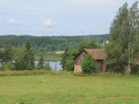 torsked2501