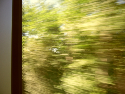 Bild från tågfönstret